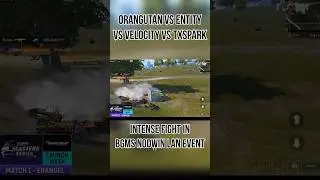 OG vs Entity vs Velocity vs txspark intense fight 🔥BGMS Lan Event 👑