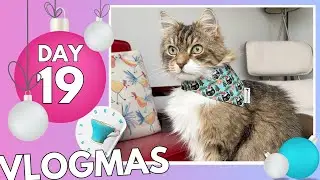 Gary! plus tea time, broken cups, and chats! - day 19 vlogmas
