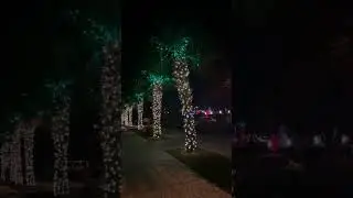 Shelter Cove Marina Holiday Lights 😍