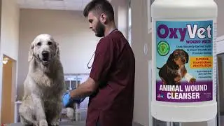 OxyVet Wound Wash for Pet Injury Cleansing and Promoting Healing 2