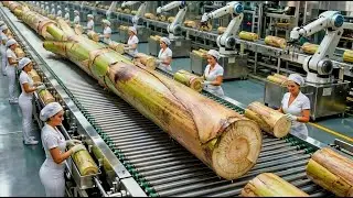 Inside a Modern Banana Stem Processing Factory – From Raw to Finished (Full Process)