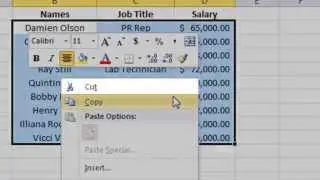 Excel: One Step at a Time Chapter 2 Clipboard Tools