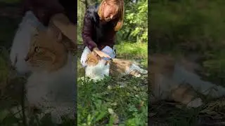 Вот что значит крепкие нервы.