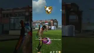 Best clips for best motion