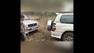 Застрявший в грязи