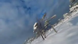Кемерское большое болото 2