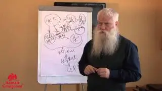 Травы желчегонные и почечные