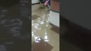 Регпалата под водой