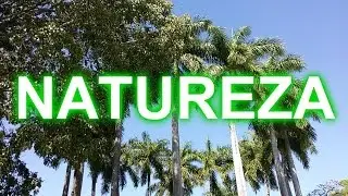 NATUREZA