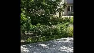КРЫМ, ЕВПАТОРИЯ, ГОСТЕВОЙ ДОМ, 19г....