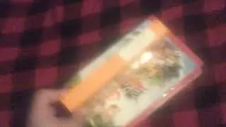 Rugrats Go Wild 2003 VHS