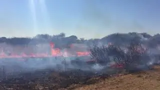 Thakadu Burn July 2017 3