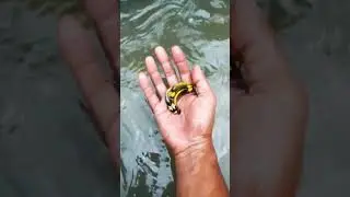 kumpai nya lagi mandi pakai ember...