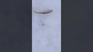 Мелочь.