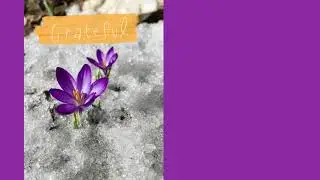 Grateful - Lyric video