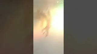 стою на руках
