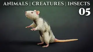 Animals - Creatures - Insects  / 05 - Blender 2.82