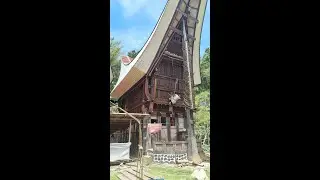 Tutorial Membuat Atap Tongkonan Rumah Orang Toraja by Revit Software