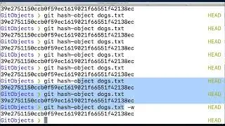 009 Retrieving Data With Git Cat File