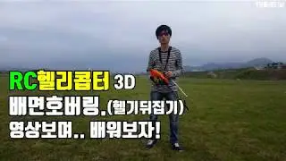 RC헬기 배면호버링 영상보며 배워보자 헬리콥터3D강좌(RC Helicopter 3D)헬기입문.