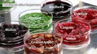 Visste du det här? Så här bygger du en solcell