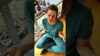 Солнечные батареи. Освещение.
