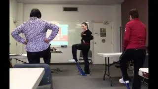 Balls Bands and Balance Workshop - Canadian Centre for Activity and Aging
