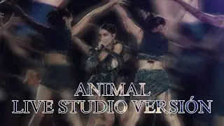 María Becerra -  Animal - (Live Studio Versión)