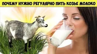 Вот почему нужно регулярно пить КОЗЬЕ МОЛОКО Невероятная ПОЛЬЗА молока для здоровья человека