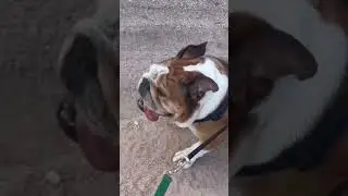On a walk…