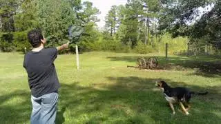 CJ Oswald - GPS Electronic Pet Fence Demo