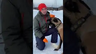 21 февраля 2024 г.
