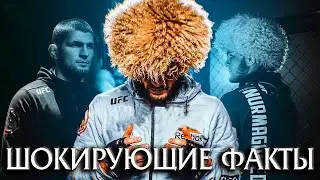 Семь Шокирущих Фактов о Хабибе