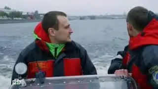 Погоня за Котом и Бизоном