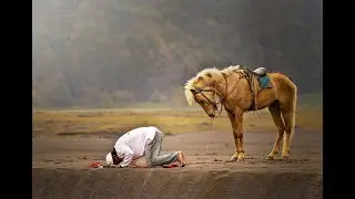 SALOHIDDIN DOMILA MA'RUZA  ☝👍