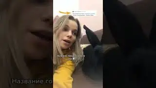 почему кроликов не берут на руки 😅 