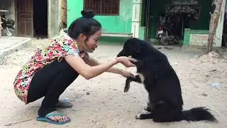 Top viral video pattry girl play with smart Dog at home (part12)