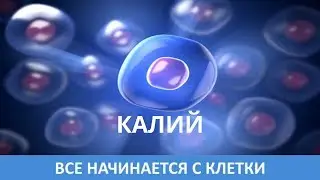Как сохранить баланс между натрием и калием