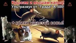 ⚠ МЫШАМ И КРЫСАМ КАПЕЦ! - ЭТОТ ЗВУКОВОЙ ТАНДЕМ ПРОГОНИТ ГРЫЗУНОВ НА ДРУГОЙ МАТЕРИК І ЗВУКИ ОТ КРЫС