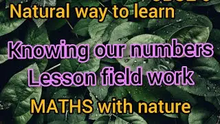 Knowing our numbers lesson field work| Natural examples| Concept in that lesson|NCERT GRADE 6 MATHS|