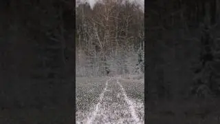 Октябрь, первый снег. muz: nik rostov