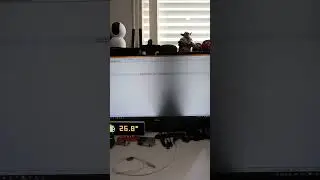 my Dell screen is about to die
