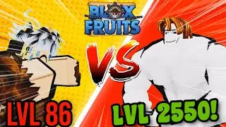 BLOX FRUIT 1 HOUR GRINDING CHALLENGE WITH @jerricksherwin6182