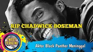 Chadwick Boseman atau Aktor Black Panther Meninggal Dunia Karena Kanker Usus