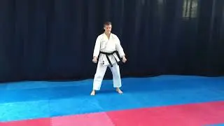 0. ТАЙКИОКУ ШОДАН