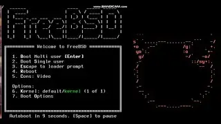 Bikin Storage Pool Mirror di FreeBSD
