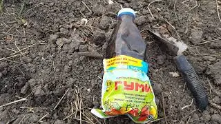 Томаты в тряпки,дождь меня не пугает,сильный ветер не беда,топором сижу стучу,к целе ближе быть хочу