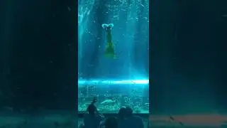 Mermaid princess #shorts