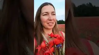 Где цветы? Мысли о пустоте на маковом поле