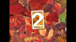 OTOÑO 2023